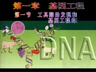 人和动物体内三大营养物质的代谢