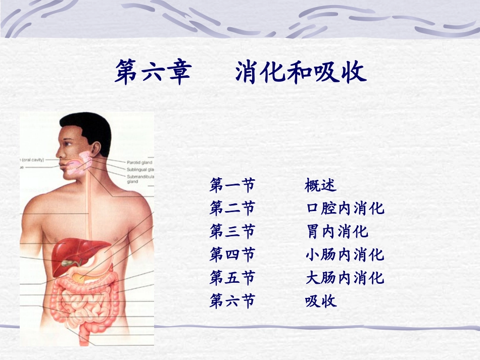 戈-消化和吸收_第1页