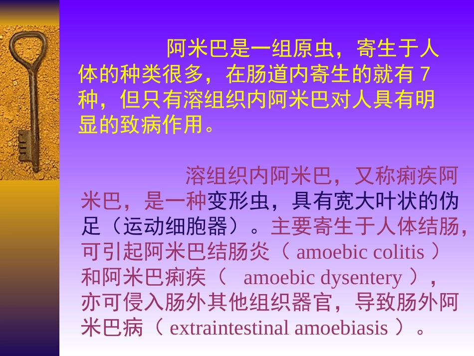 阿米巴(2011)_第2页