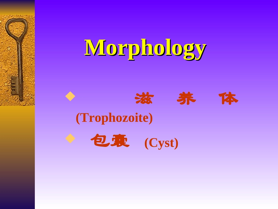阿米巴(2011)_第3页