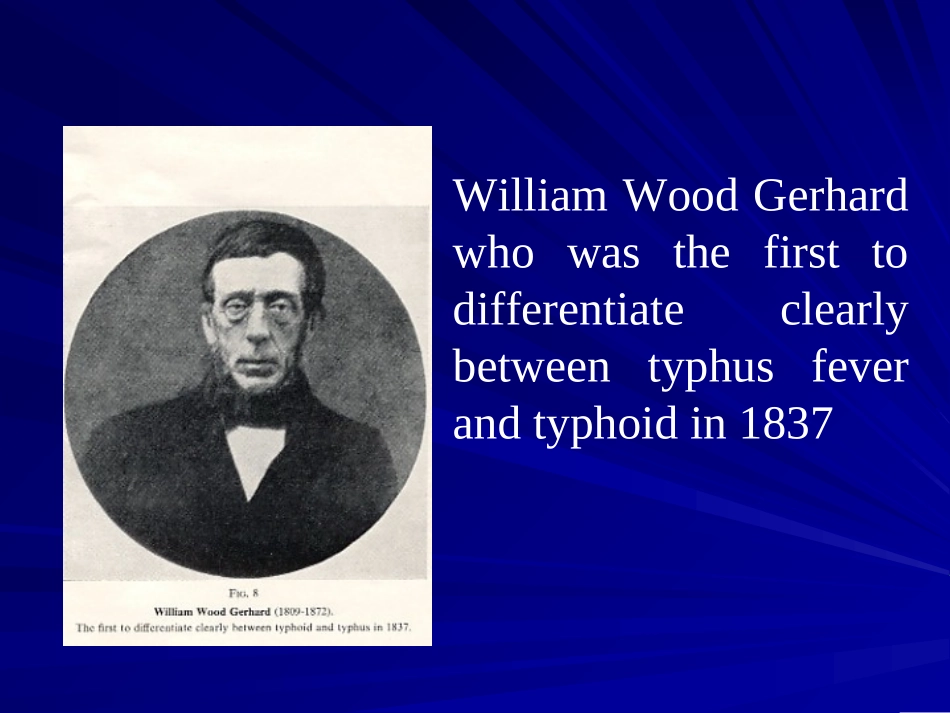 伤寒与副伤寒辛小娟_第3页