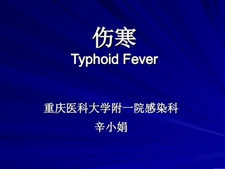 伤寒与副伤寒辛小娟