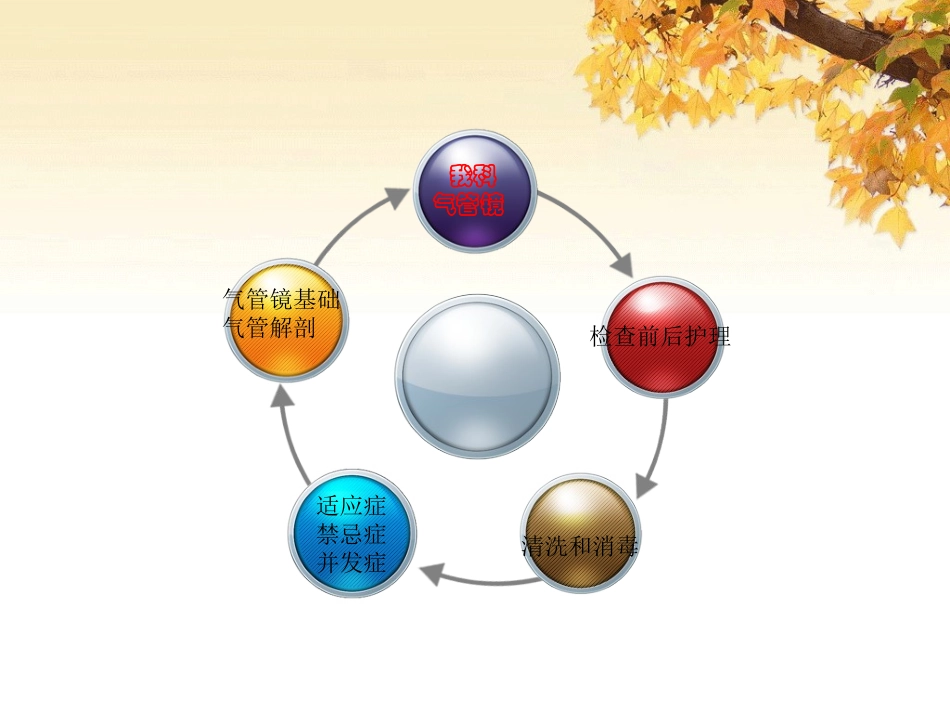 气管镜检查基础与护理_第3页