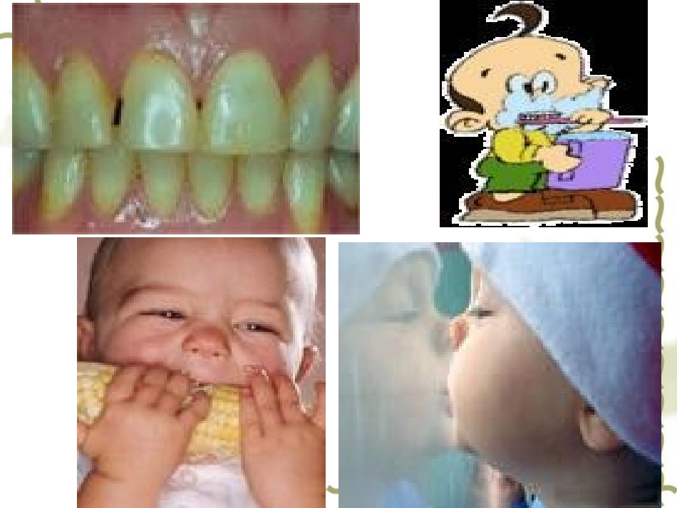 口腔义齿制造介绍_第2页