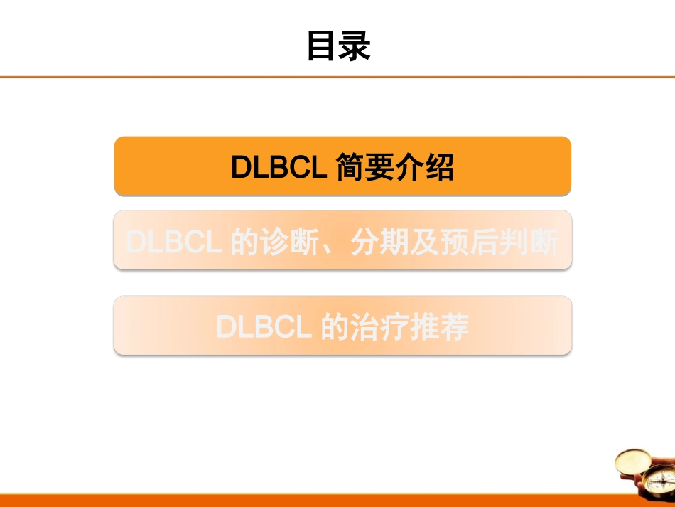 DLBCL指南_第3页