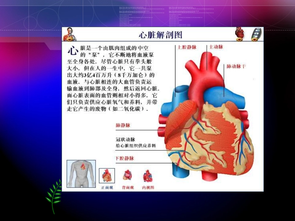 瓣膜替换术的术中配合_第2页