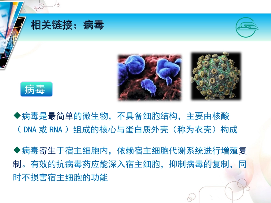 吸附HIV主要通过gp120与宿主细胞膜表面的相应受体结合进入细胞_第2页
