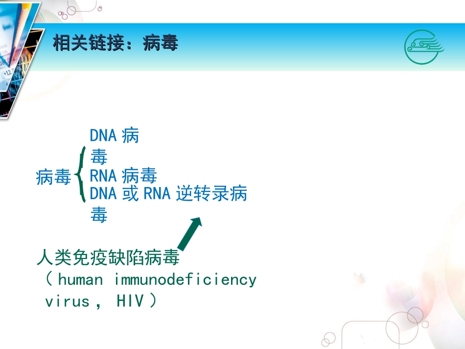 吸附HIV主要通过gp120与宿主细胞膜表面的相应受体结合进入细胞_第3页
