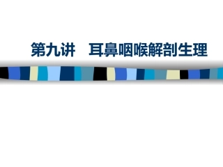 耳鼻咽喉解剖生理