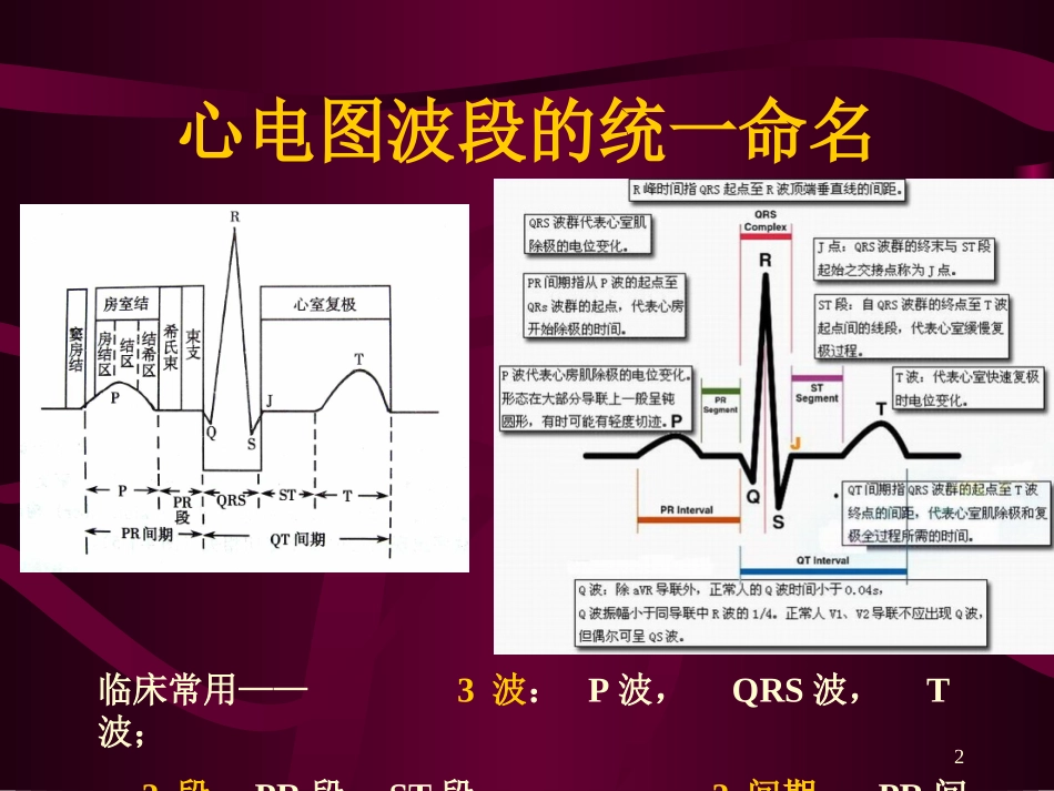 心电图-心电向量与心肌缺血_第1页