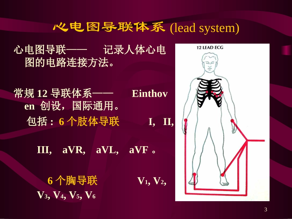 心电图-心电向量与心肌缺血_第2页