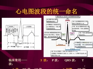 心电图-心电向量与心肌缺血