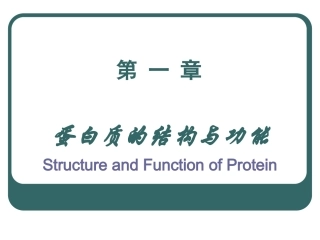 第1章 蛋白质结构与功能
