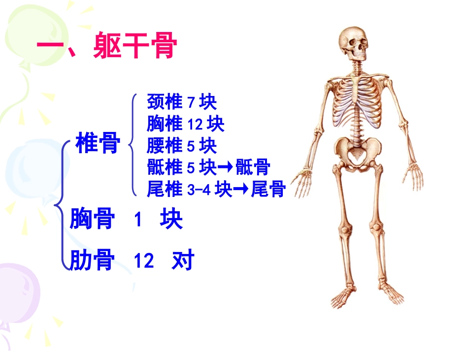 浅谈骨总论躯干上肢骨_第3页