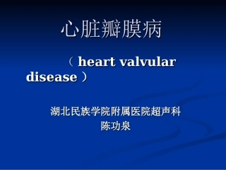 心血管超声合集