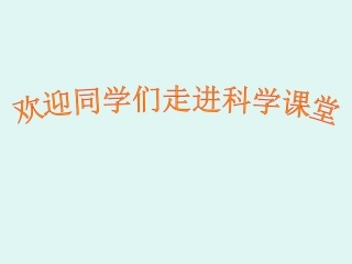 科学课件《身体的结构》