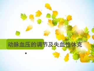 动脉血压调节与失血性休克