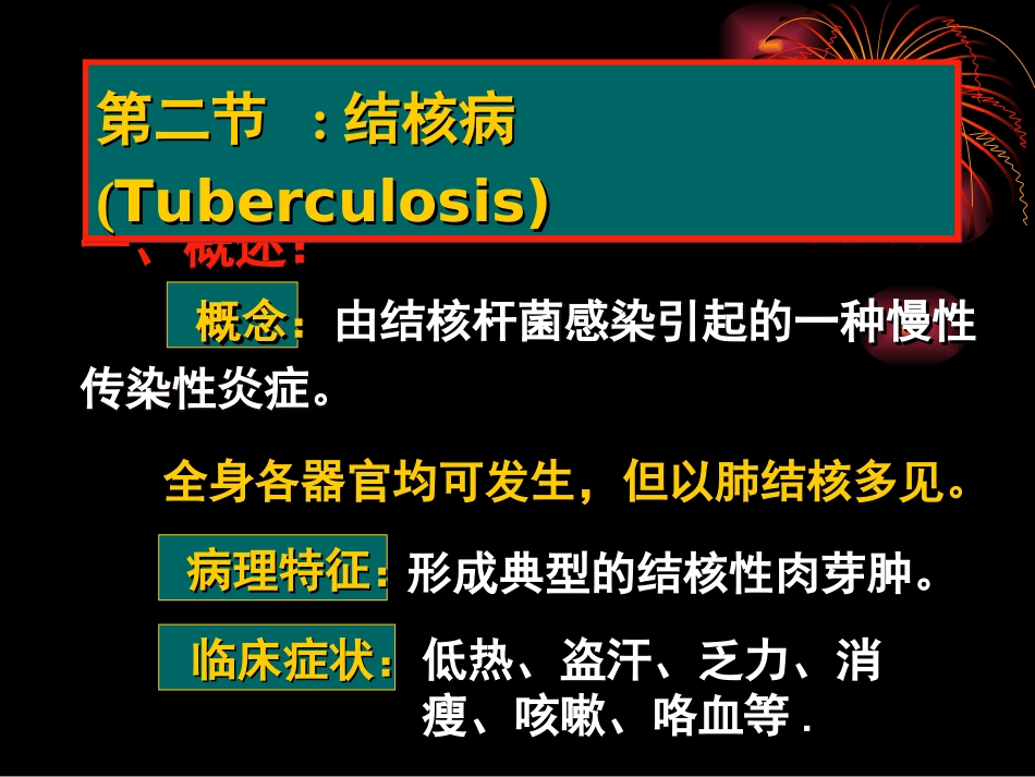 大叶性肺炎与小叶性肺炎的区别_第2页