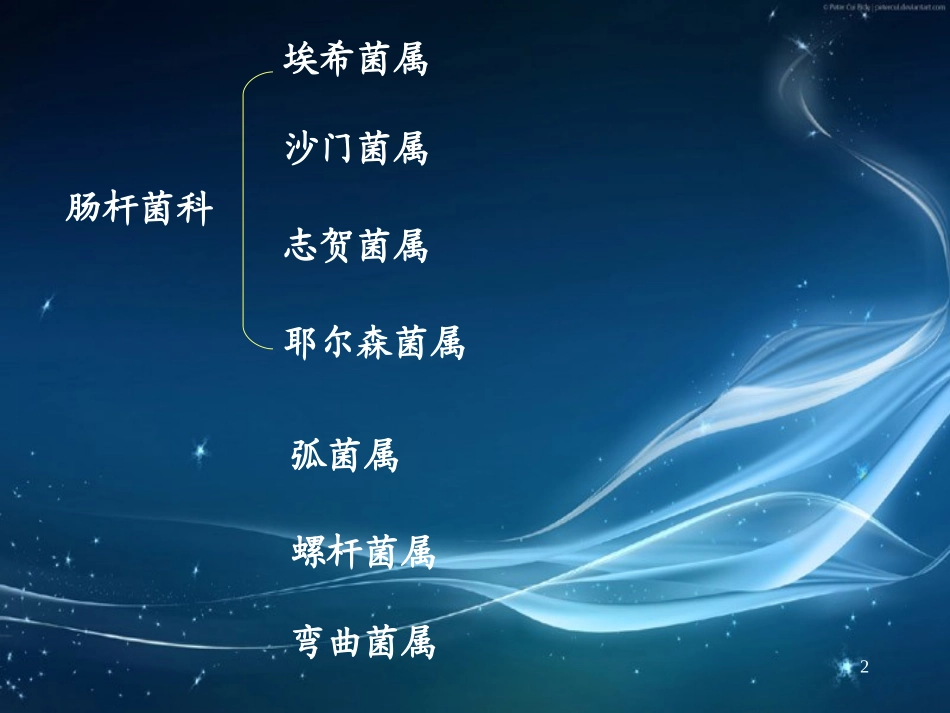 消化道细菌感染_第2页