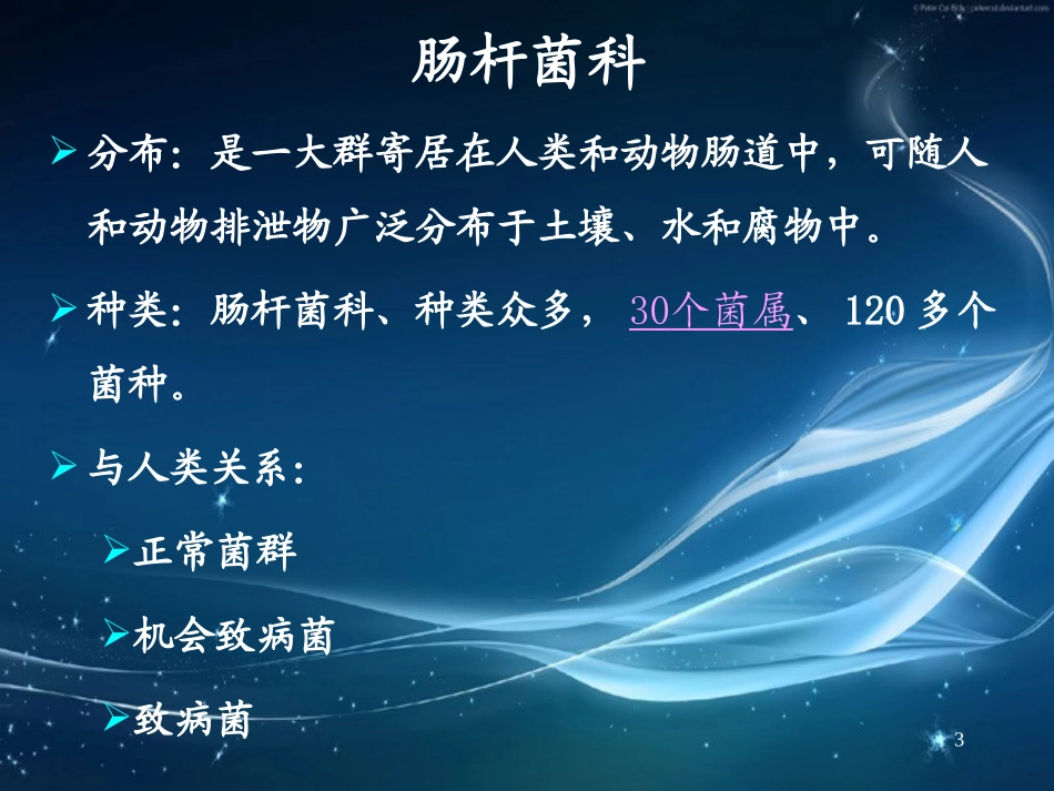 消化道细菌感染_第3页