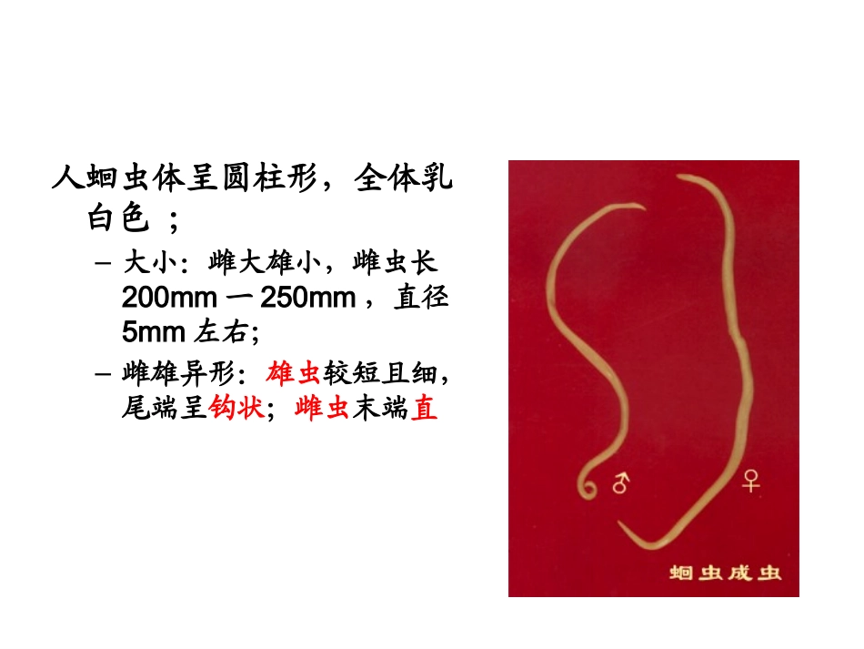 八年级生物第一章第二节3线形动物、环节动物(2)_第3页