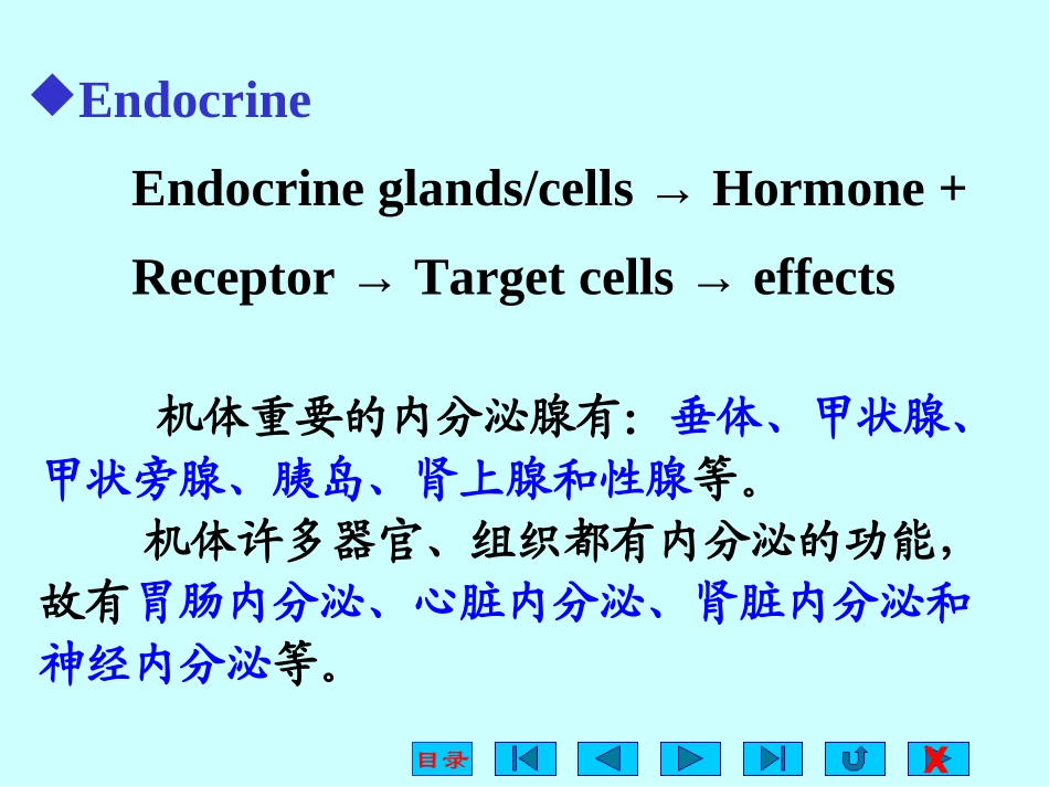 内分泌(卓越班)_第3页
