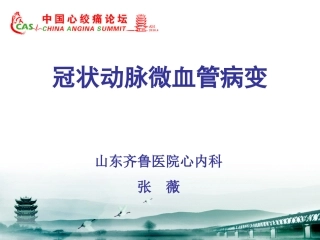 冠状动脉微血管病变