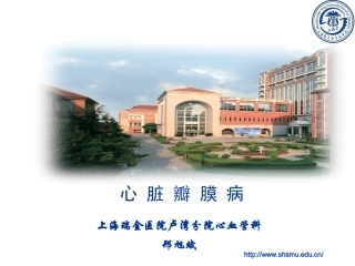 心瓣膜病2015(检验系)标准版