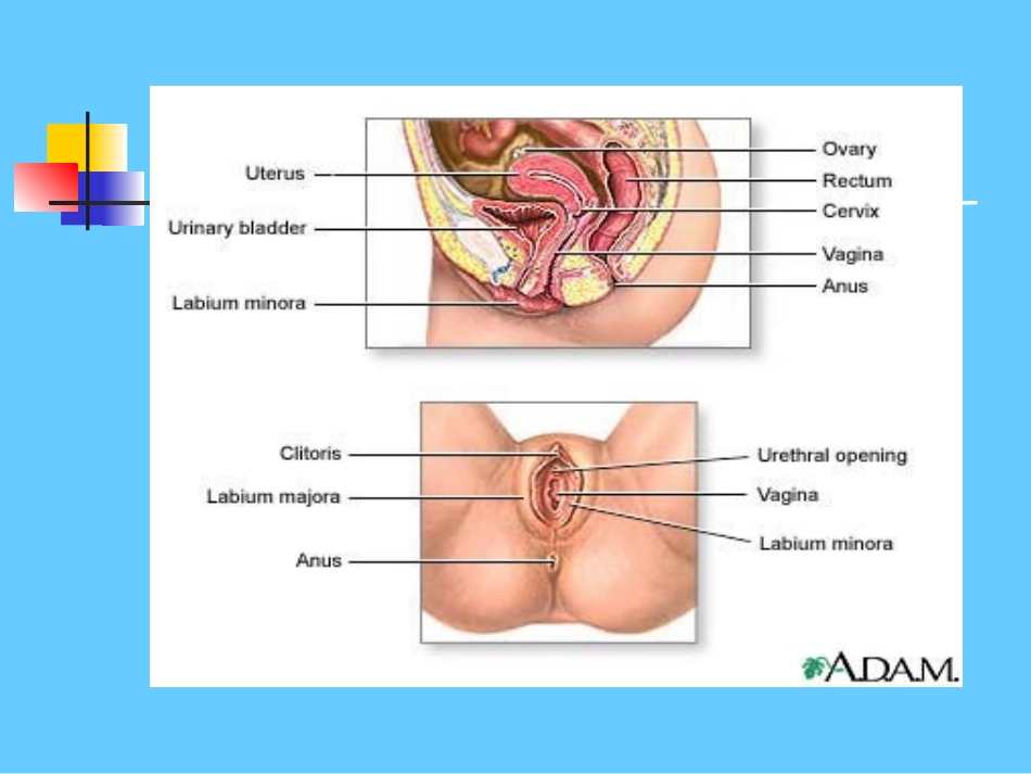 子宫肌瘤知多少_第2页