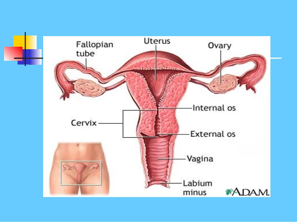 子宫肌瘤知多少_第3页