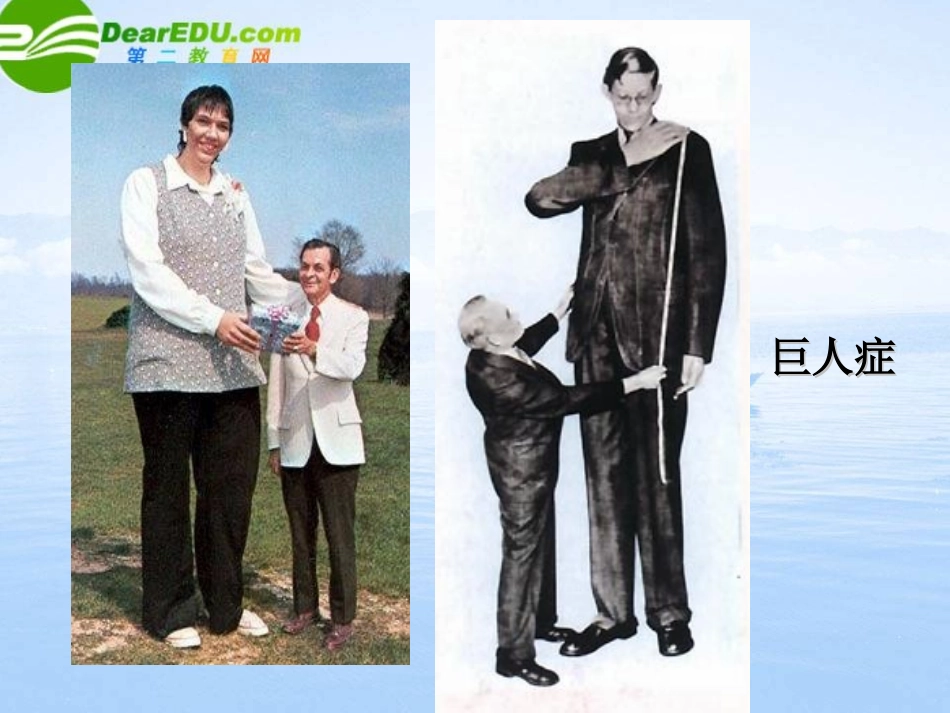 六-内分泌系统_第2页