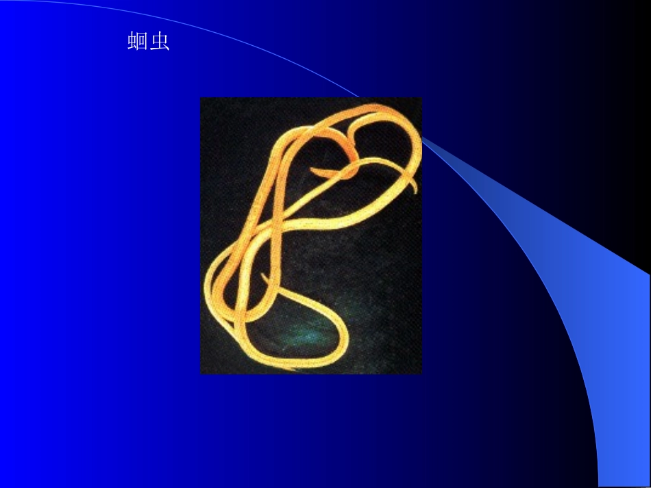 寄生虫实验全部图片复习_第1页