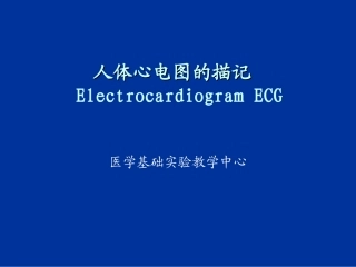 人体心电图及血压测量-zhou