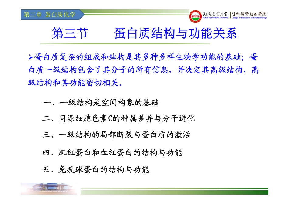 湖南农业大学生物化学-03-蛋白质化学-04蛋白质结构与功能的关系_第3页