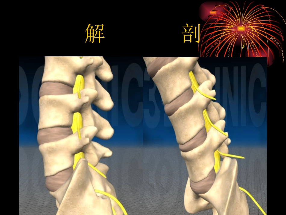 腰椎间盘突出症的诊治_第2页