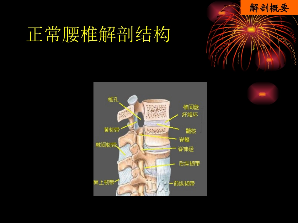 腰椎间盘突出症的诊治_第3页