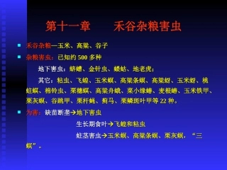 禾谷杂粮害虫