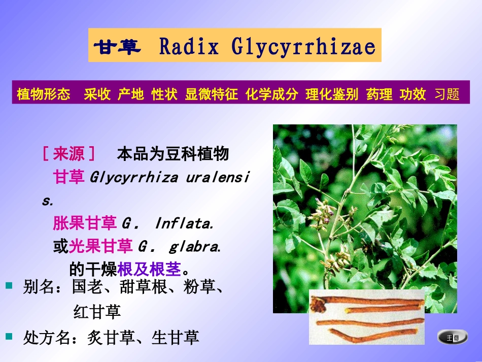 第七章根和根茎类生药2(甘草人参三七黄芩地黄)_第2页