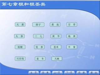 第七章根和根茎类生药2(甘草人参三七黄芩地黄)