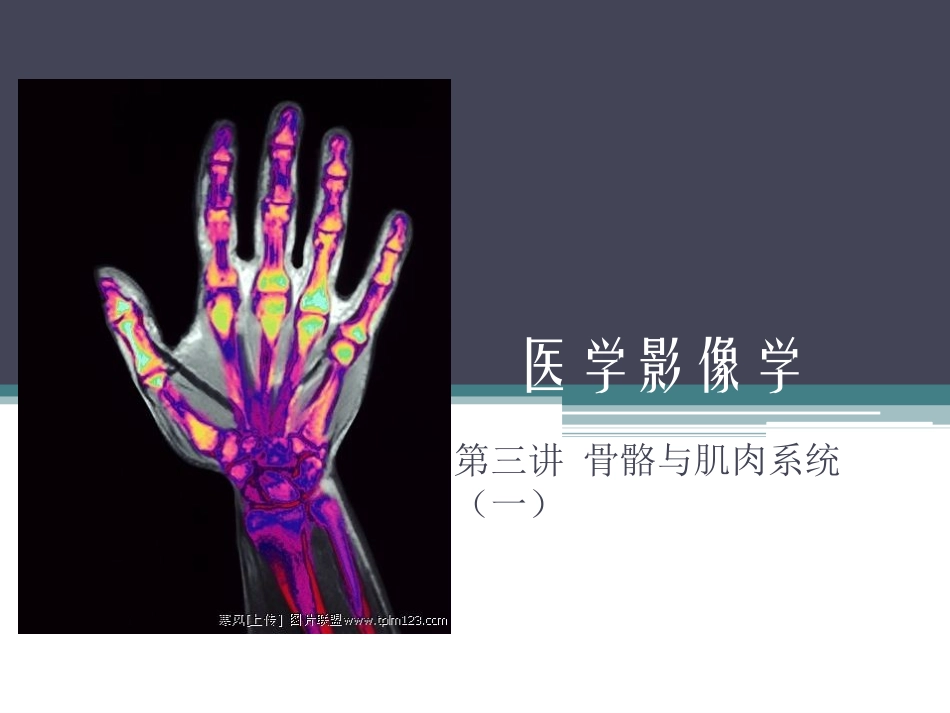 骨骼与肌肉系统(一)_第1页
