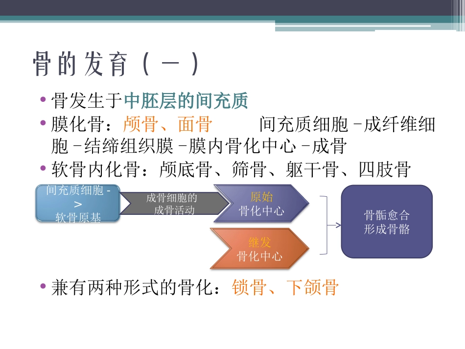 骨骼与肌肉系统(一)_第2页
