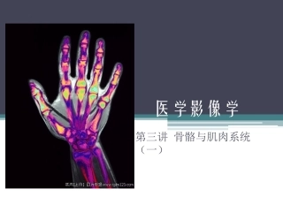 骨骼与肌肉系统(一)