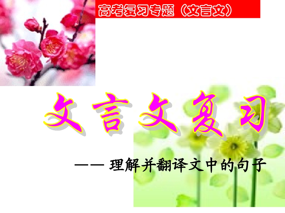 理解并翻译文中的句子_第1页