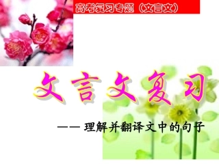 理解并翻译文中的句子