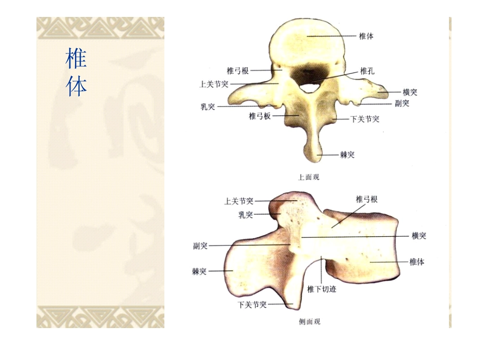 腰椎病的治疗_腰椎病怎么治疗_第3页