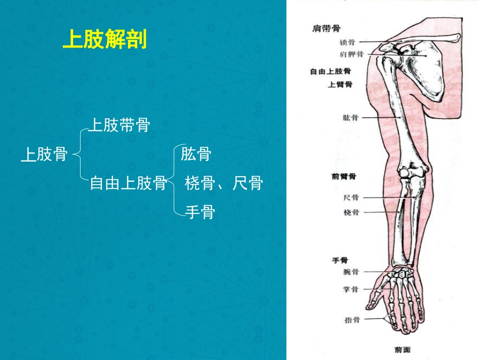 上肢骨折及手术配合_第3页