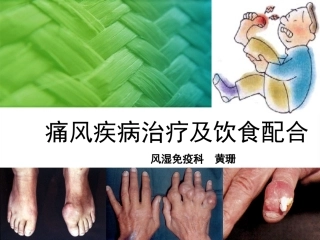 痛风-(黄珊)