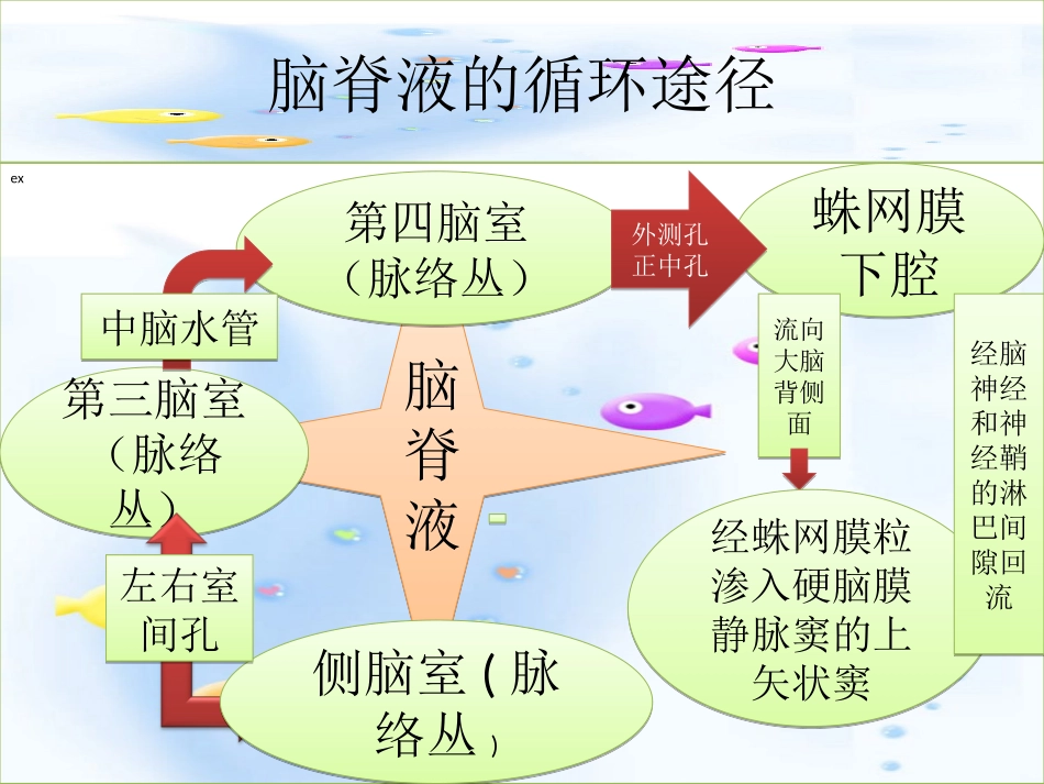 颅脑术后脑室引流的护理ppt_第3页