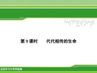 时代代相传的生命资料