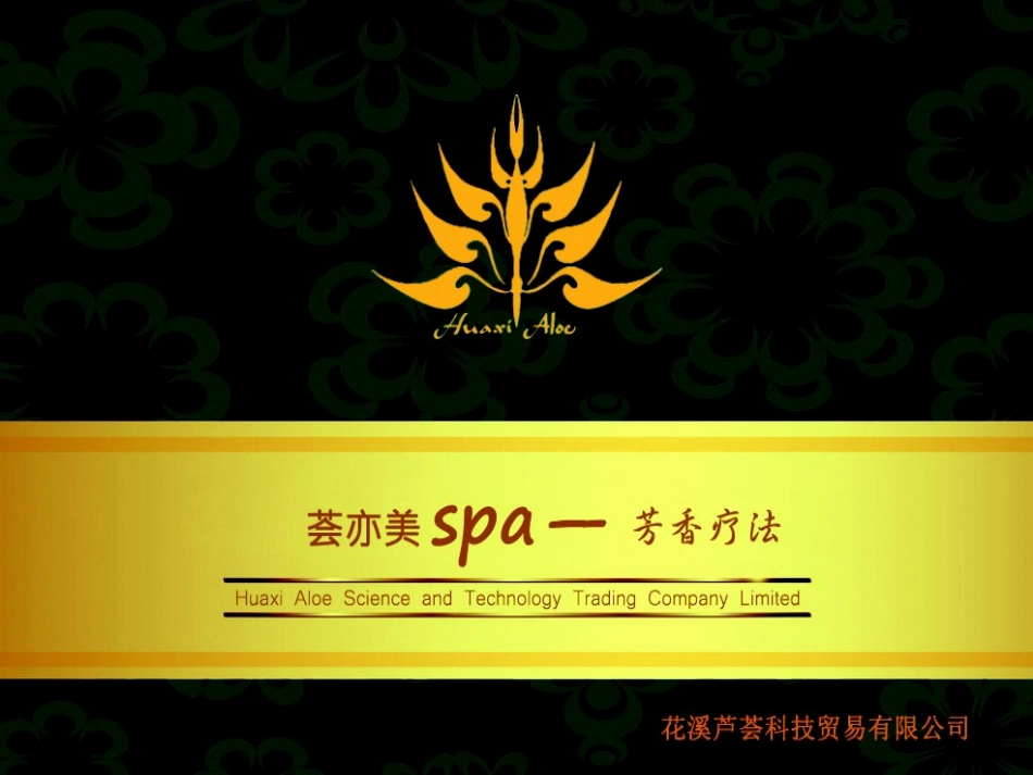 荟亦美芳疗精油SPA_第1页